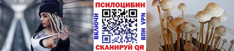 даркнет сайт  Сухиничи  Галлюциногенные грибы Magic Shrooms 